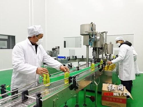 匠心融合 探析湖南神农国油油脂加工厂投产背后的购并战略逻辑